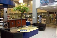 trksystem.com-trksystem.com-akademia-inspiracji-makro-12.-Akademia-Makro-Hol-14