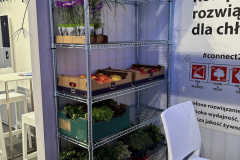 Na metalowej półce znajdują się świeże zioła w doniczkach, sałata w plastikowych tackach i warzywa, takie jak marchew w skrzynkach. Półka znajduje się obok białego krzesła i szyldu z polskim tekstem. Jasne oświetlenie wewnętrzne podkreśla kolorowe produkty. projekt i nadzór Tatjana Kobuszewska trksystem.com