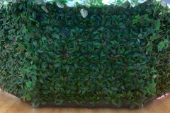 trksystem.com-Quadroijegowykorzystanietatjanakobuszewska1419