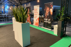 trksystem.com-zielonastrefaaxpobytatjanakobuszewska5833