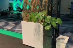 trksystem.com-zielonastrefaaxpobytatjanakobuszewska5834