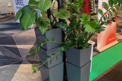 trksystem.com-zielonastrefaaxpobytatjanakobuszewska5850