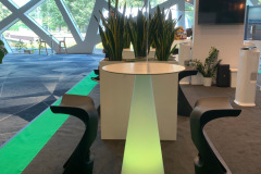 trksystem.com-zielonastrefaaxpobytatjanakobuszewska5853