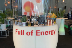 trksystem.com-zielonastrefaaxpobytatjanakobuszewska5862