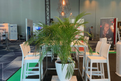 trksystem.com-zielonastrefaaxpobytatjanakobuszewska5882