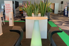 trksystem.com-zielonastrefaaxpobytatjanakobuszewska5883