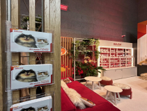 Dolfos-kongres-Kongres-Medycyny-Weterynaryjnej-Malych-Zwierzat-PSLWMZ-7762