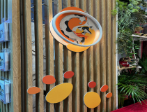 Dolfos-kongres-Kongres-Medycyny-Weterynaryjnej-Malych-Zwierzat-PSLWMZ-7773