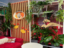 Dolfos-kongres-Kongres-Medycyny-Weterynaryjnej-Malych-Zwierzat-PSLWMZ-7778