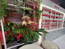 Dolfos-kongres-Kongres-Medycyny-Weterynaryjnej-Malych-Zwierzat-PSLWMZ-7782