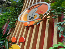 Dolfos-kongres-Kongres-Medycyny-Weterynaryjnej-Malych-Zwierzat-PSLWMZ-7784