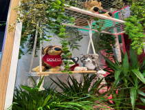 Dolfos-kongres-Kongres-Medycyny-Weterynaryjnej-Malych-Zwierzat-PSLWMZ-7785