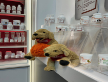 Dolfos-kongres-Kongres-Medycyny-Weterynaryjnej-Malych-Zwierzat-PSLWMZ-7799