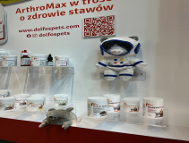 Dolfos-kongres-Kongres-Medycyny-Weterynaryjnej-Malych-Zwierzat-PSLWMZ-7801