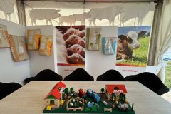 Stół wystawowy w Stoisku reklamowym Dolfos zawiera uroczą makietę o tematyce rolniczej ze zwierzętami, ludźmi i traktorami, ustawioną przed plakatami prosiąt i cielaka. W pobliżu wiszą worki z paszą, a sylwetki zwierząt dodają uroku zachęcającemu stoisku. projekt i nadzór Tatjana Kobuszewska trksystem.com