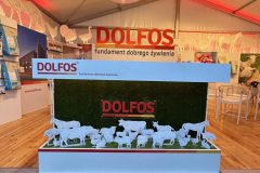 Stoisko reklamowe Dolfos obejmuje ladę ozdobioną białymi sylwetkami zwierząt hodowlanych, zieloną sztuczną trawą i banerami promocyjnymi wewnątrz namiotu z wiszącymi światłami. projekt i nadzór Tatjana Kobuszewska trksystem.com