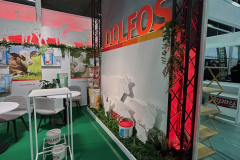 2025-dolfos-kielce-0529