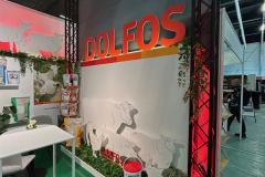 2025-dolfos-kielce-0530