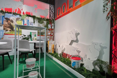 2025-dolfos-kielce-0532