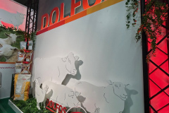 2025-dolfos-kielce-0545