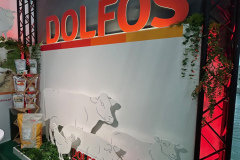 2025-dolfos-kielce-0546