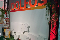 2025-dolfos-kielce-0546