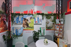 2025-dolfos-kielce-0547