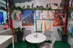 2025-dolfos-kielce-0548