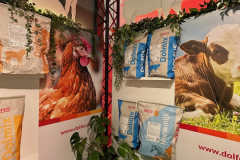 2025-dolfos-kielce-0550