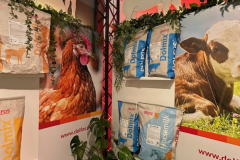 2025-dolfos-kielce-0550