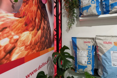 2025-dolfos-kielce-0551