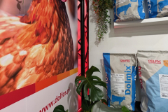 2025-dolfos-kielce-0551