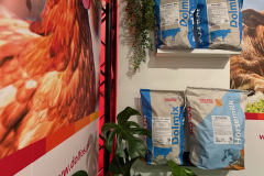 2025-dolfos-kielce-0552