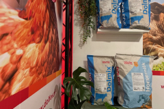 2025-dolfos-kielce-0552