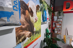 2025-dolfos-kielce-0553