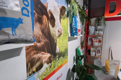 2025-dolfos-kielce-0553