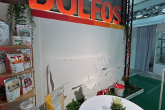 2025-dolfos-kielce-0555