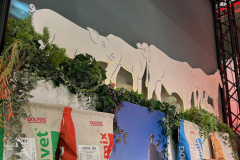 2025-dolfos-kielce-0562