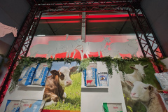 2025-dolfos-kielce-0568