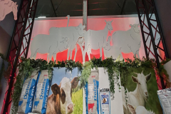 2025-dolfos-kielce-0568