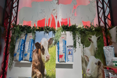 2025-dolfos-kielce-0569