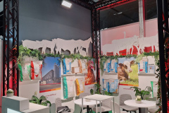 2025-dolfos-kielce-194306