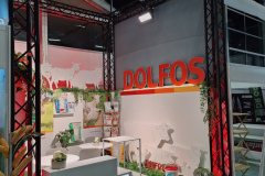 2025-dolfos-kielce-194317