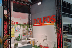 2025-dolfos-kielce-194317