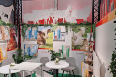 2025-dolfos-kielce-194325