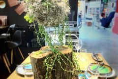 trksystem.com-trksystem.com-stoisko-Fine-Dine-Host-2019-12