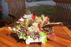 KONICA MINOLTA DIGITAL CAMERA