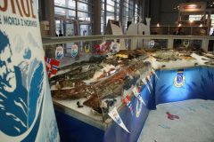 stoisko ryby na stoisku Makro trksystem.com-makro-polagra-2009-6.jpg