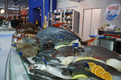 prezentacja ryb trksystem.com-polagramakro2009697.jpg