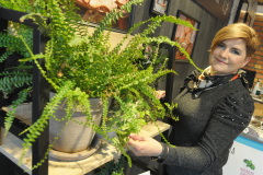 trksystem.com-Przystanek-Piekarnia-Krucza-1-kopia